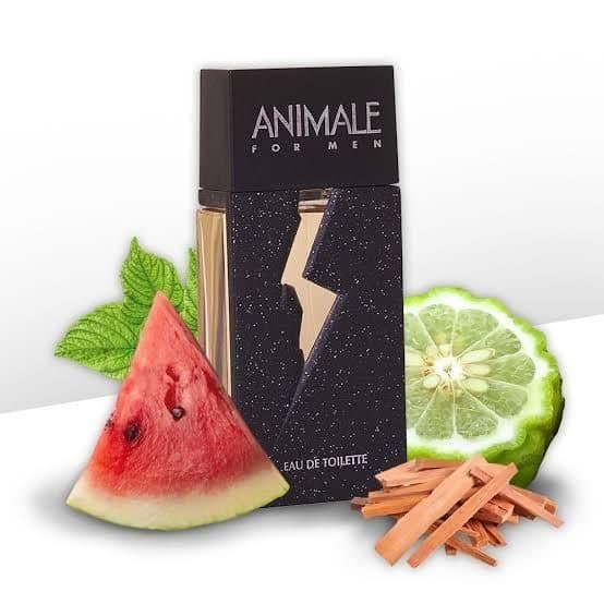 Animale For Men 100ml (M)