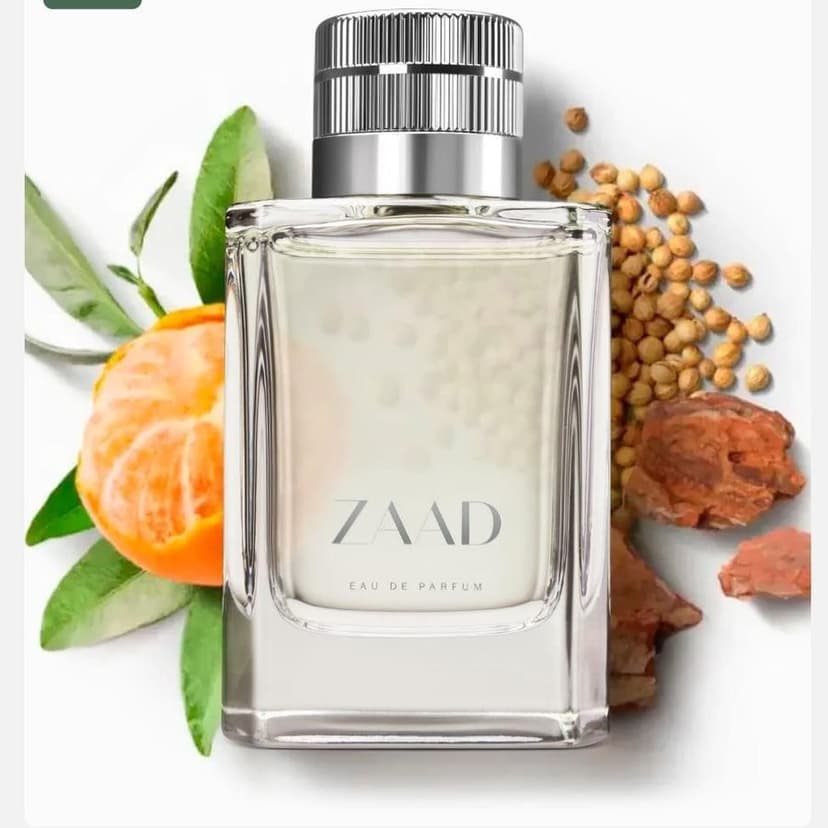 Zaad Prafum Tradicional 95ml (M)